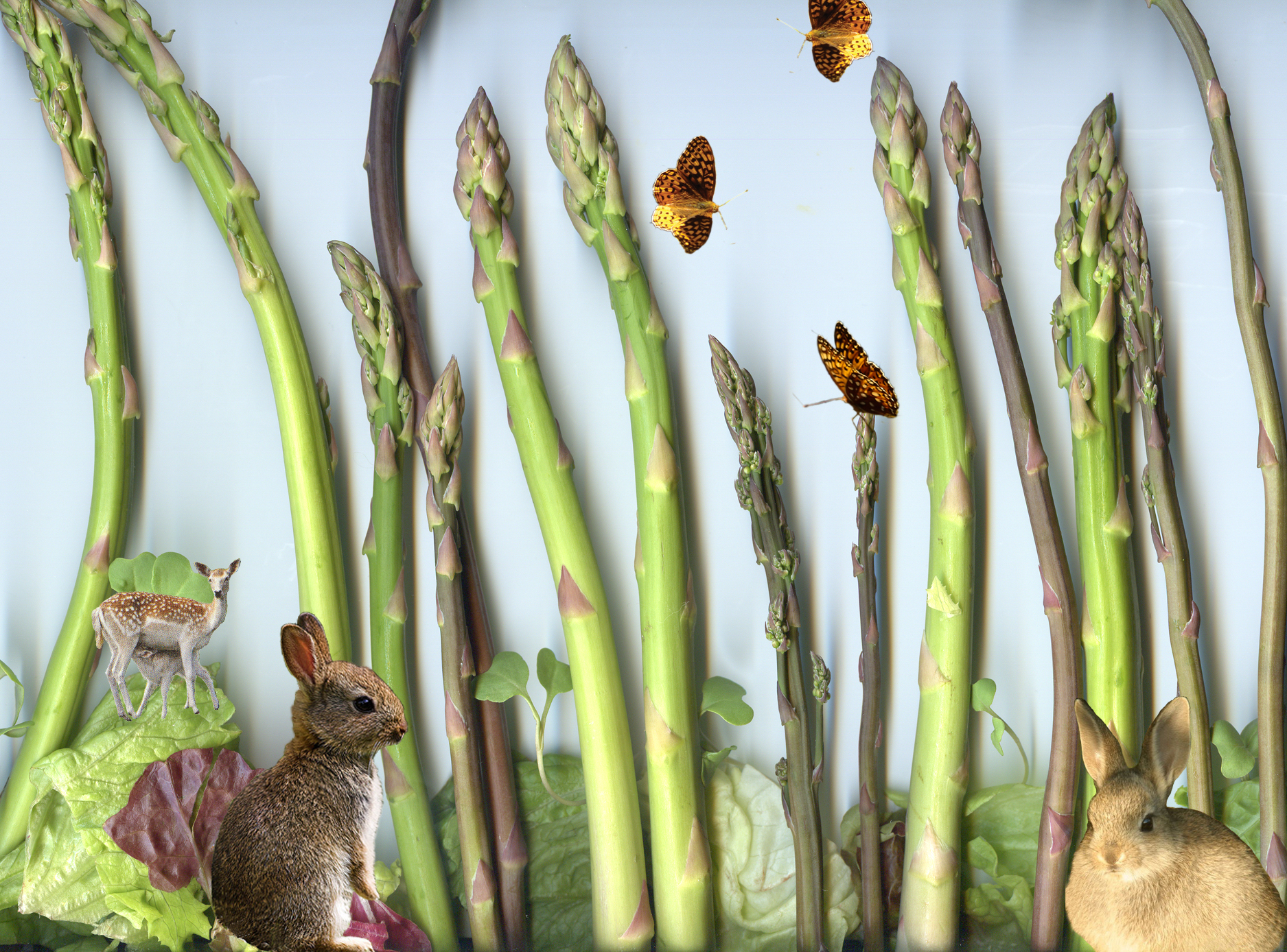 Asparagus Forest Magnet 2